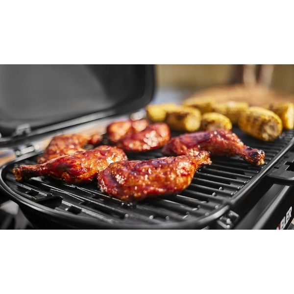 Weber Traveler Compact