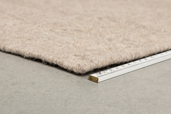 Vloerkleed Briton 160x230 Beige