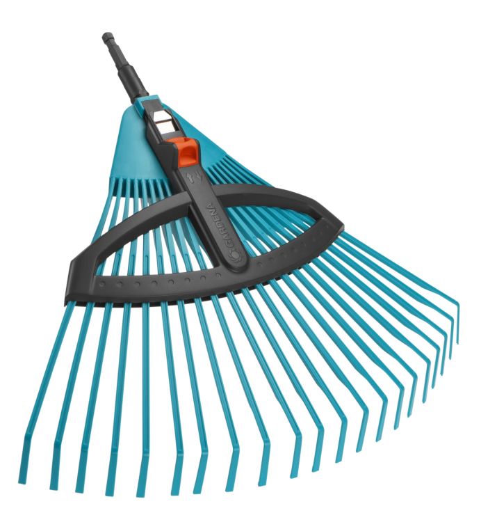 Cs bladhark