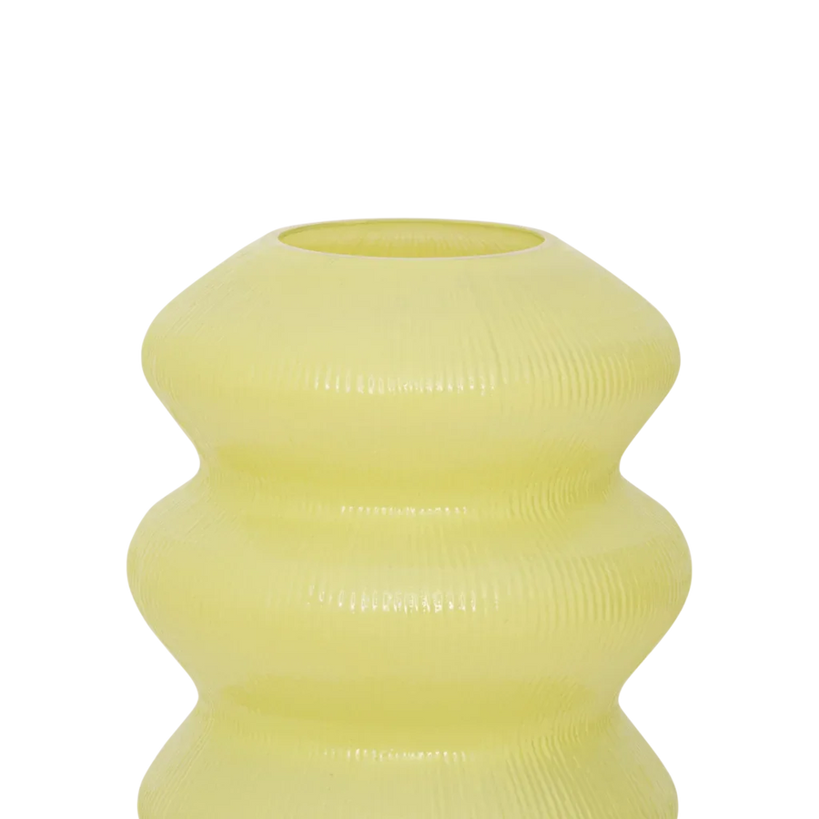 Vaas lily, beechnut