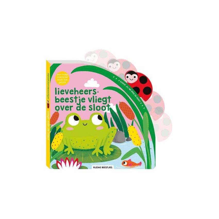 Kleine beestjes - Lieveheersbeestje vliegt over de sloot NIEUW