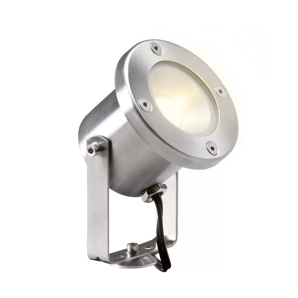Lamp Catalpa