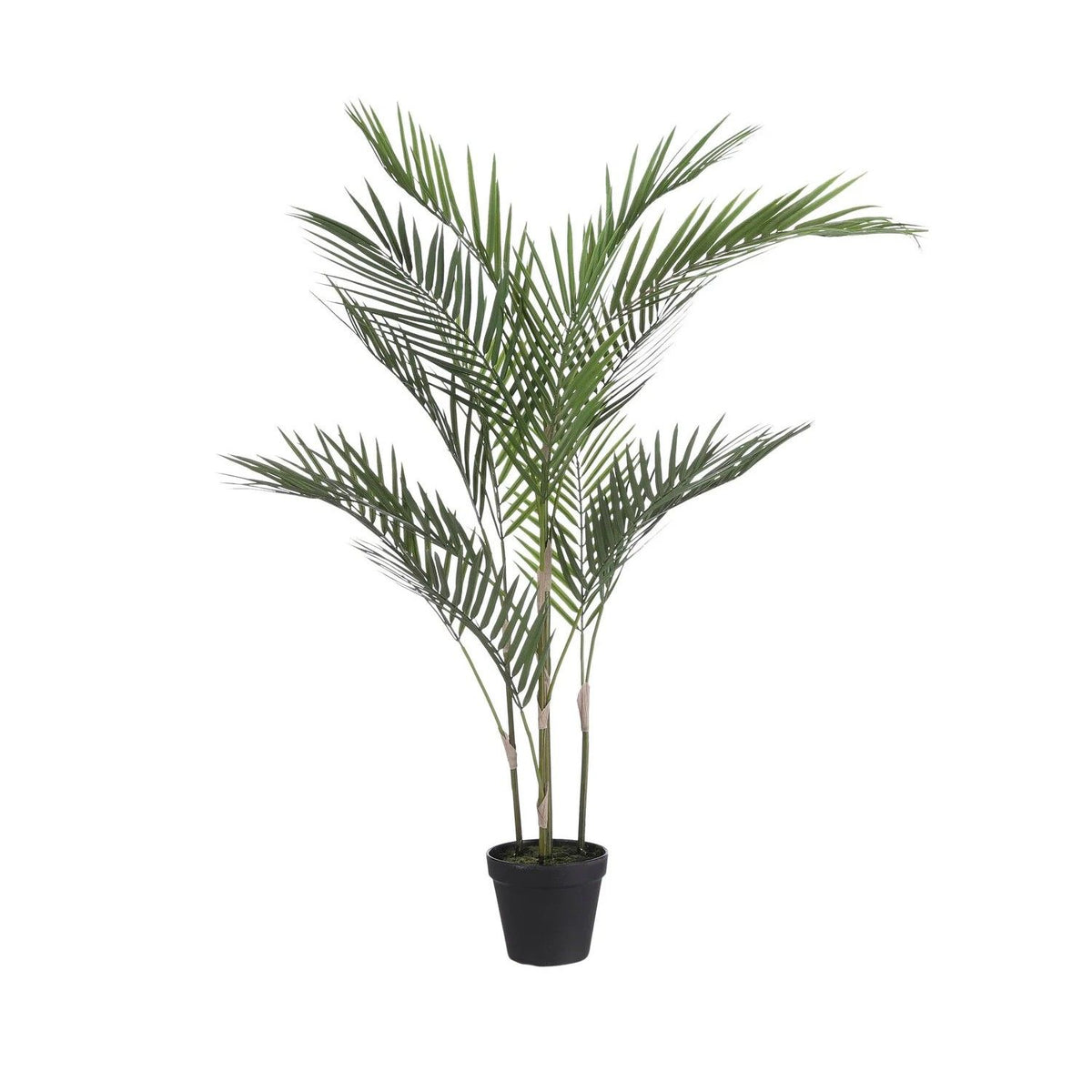 Palm in pot groen - h91xd50cm