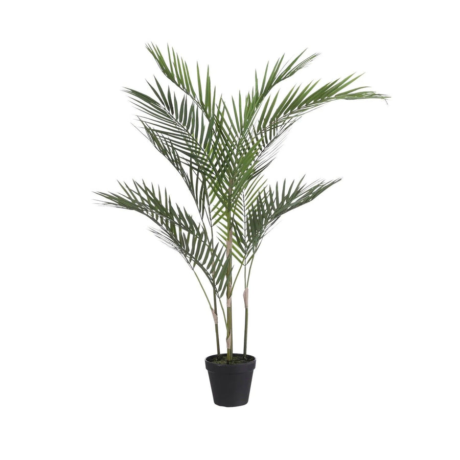 Palm in pot groen - h91xd50cm