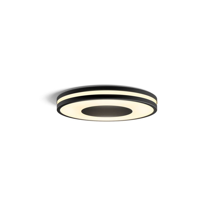 Being Hue ceiling lamp black 1x27W 24V