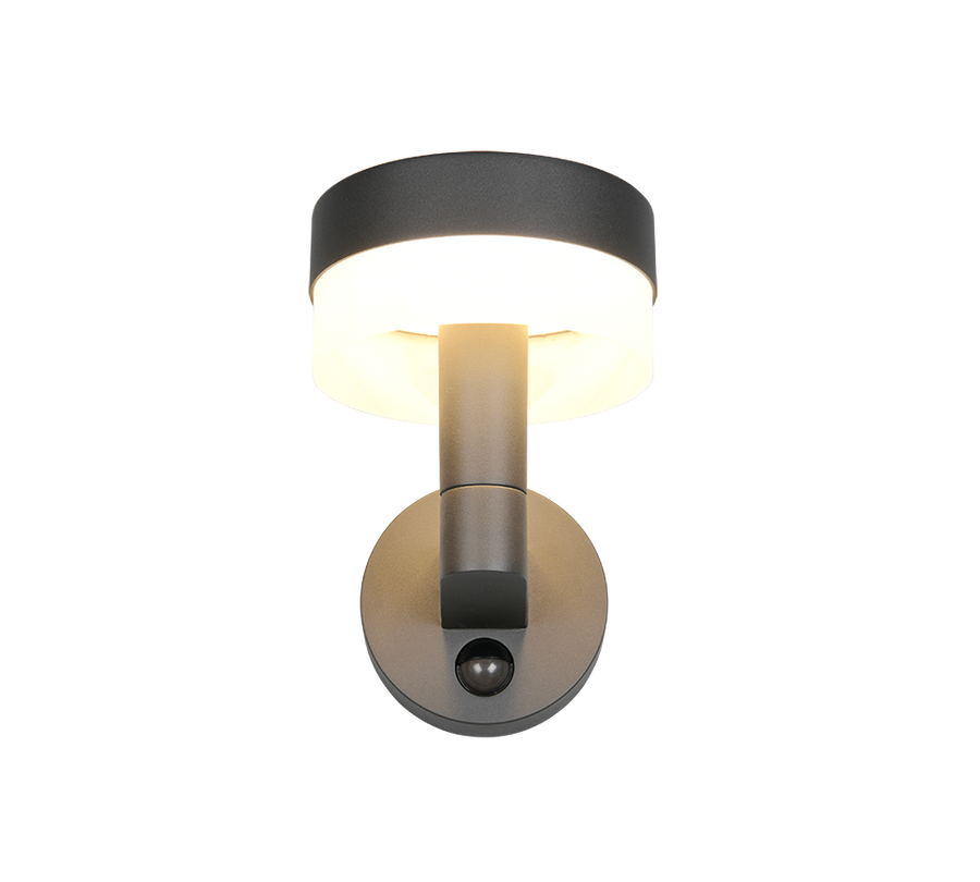 Trio wandlamp mackenzie buitenverlichting