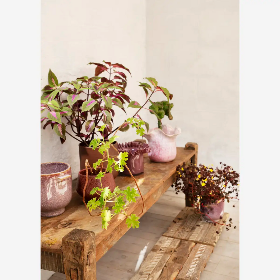 Stoneware flower pot
