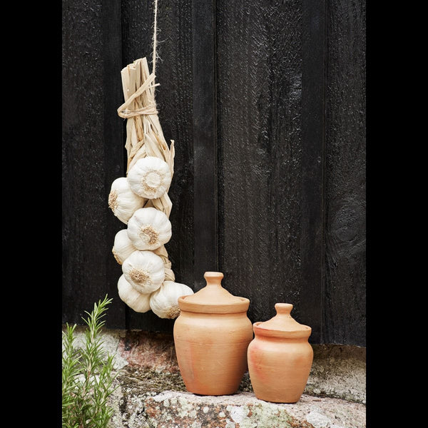 Terracotta jar w/ lid