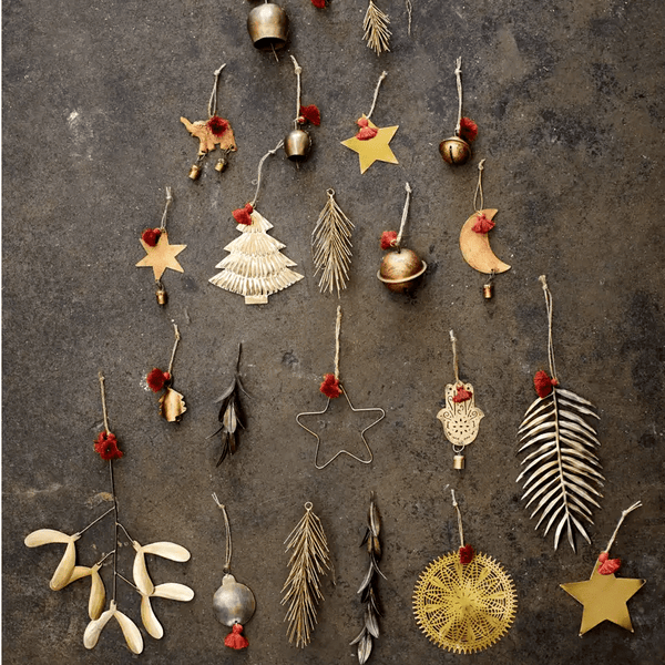 Small iron mistletoe