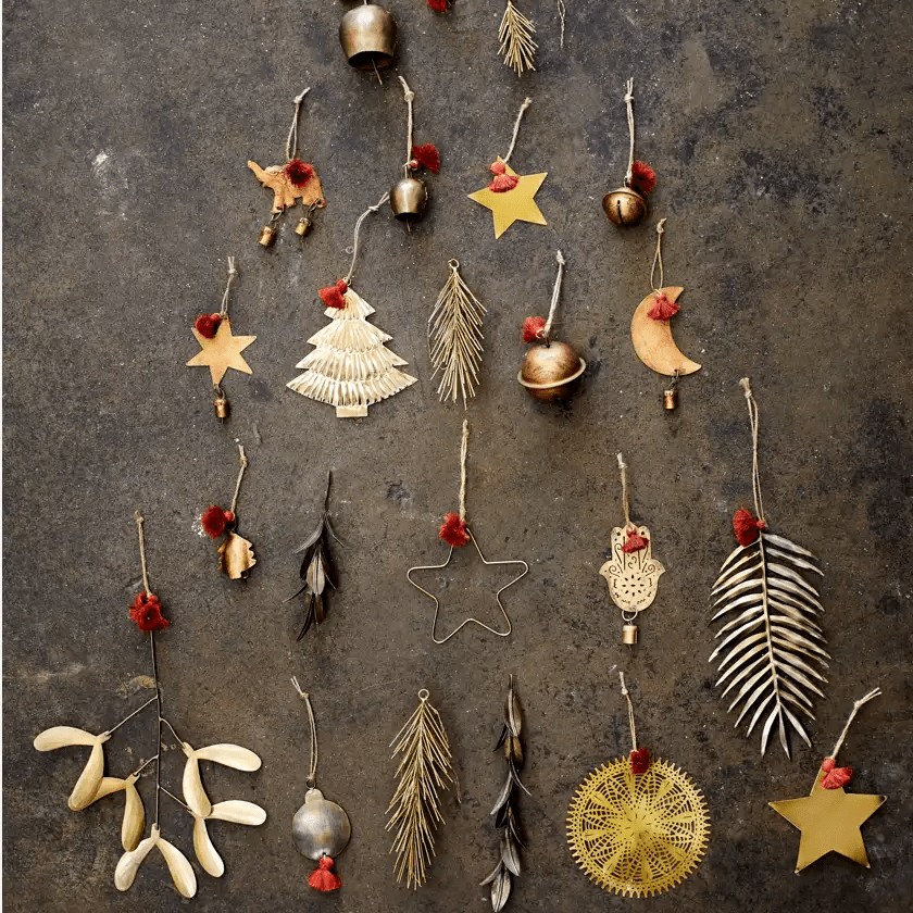 Small iron mistletoe