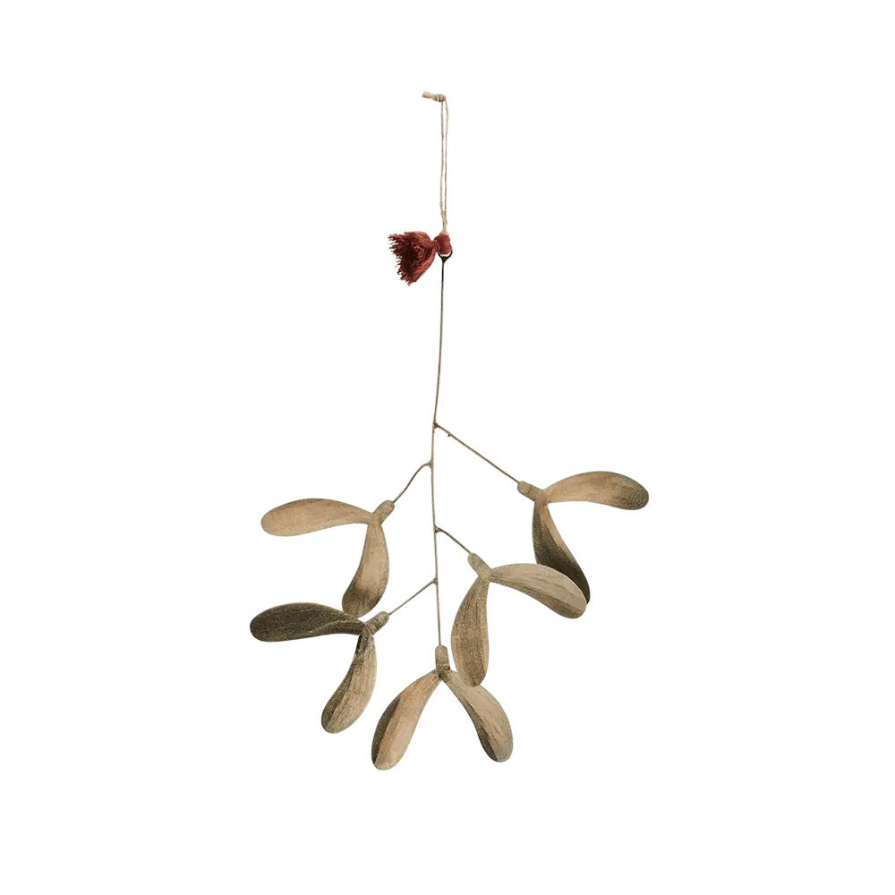 Small iron mistletoe