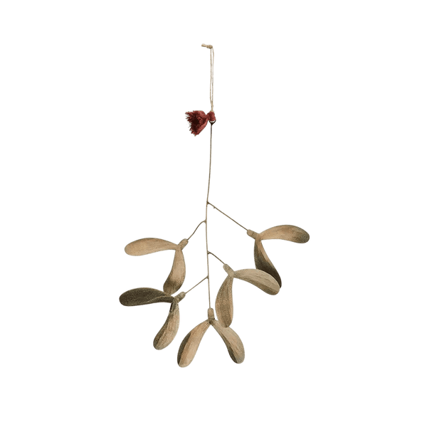 Small iron mistletoe