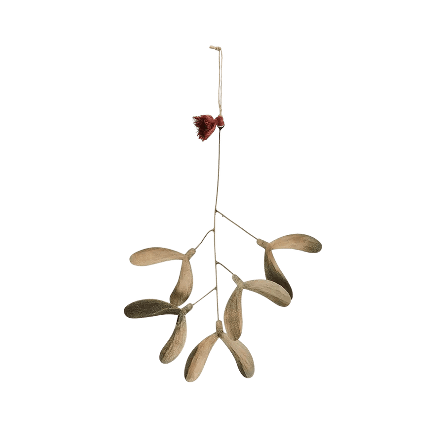 Small iron mistletoe