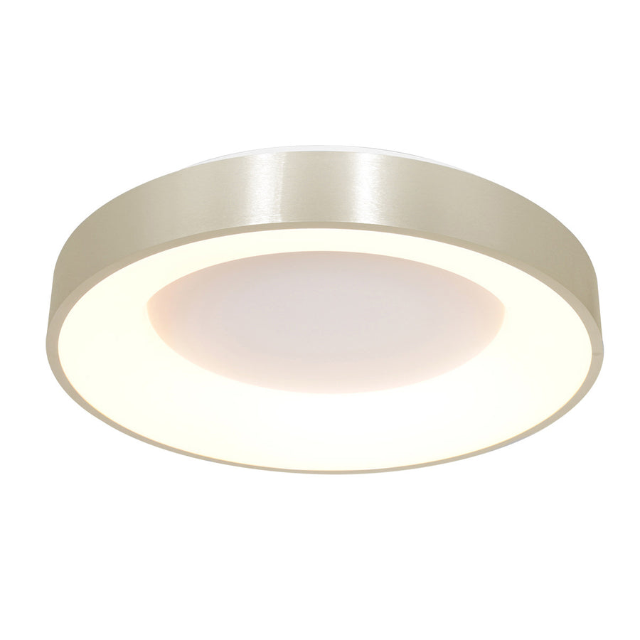 Plafondlamp Ringlede 2562ZI Zilver Ø38cm