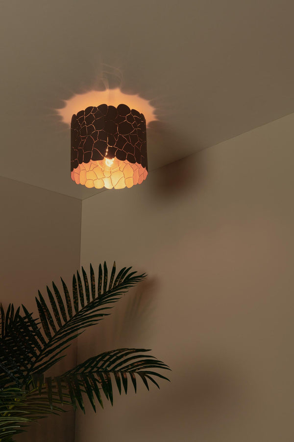 Lucide ALMELO plafondlamp Ø 25,5 cm, E27, zwart