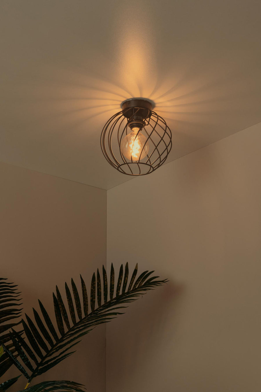 Lucide DANZA plafondlamp Ø 25 cm, E27, zwart
