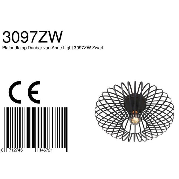 Plafondlamp Dunbar 3097ZW Zwart