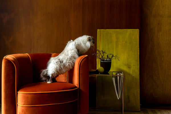 Loungestoel Flower Oranje