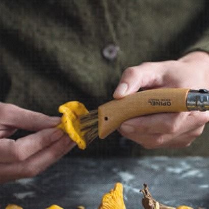 Champignonzakmes N°08,Opinel Gourmets,rvs/hout,Virobloc,doos