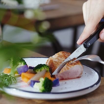 Steakmessenset 4-delig, Opinel, N°125 Pro, RVS/POM, doos