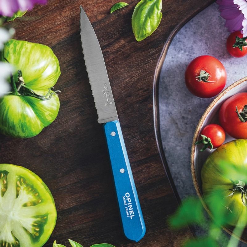 Officemes N°113, Opinel, Paysage, blauw, kartel, blister