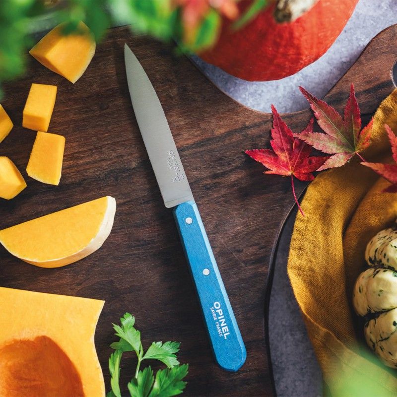Officemes N°112, Opinel, Paysage, blauw, glad, blister