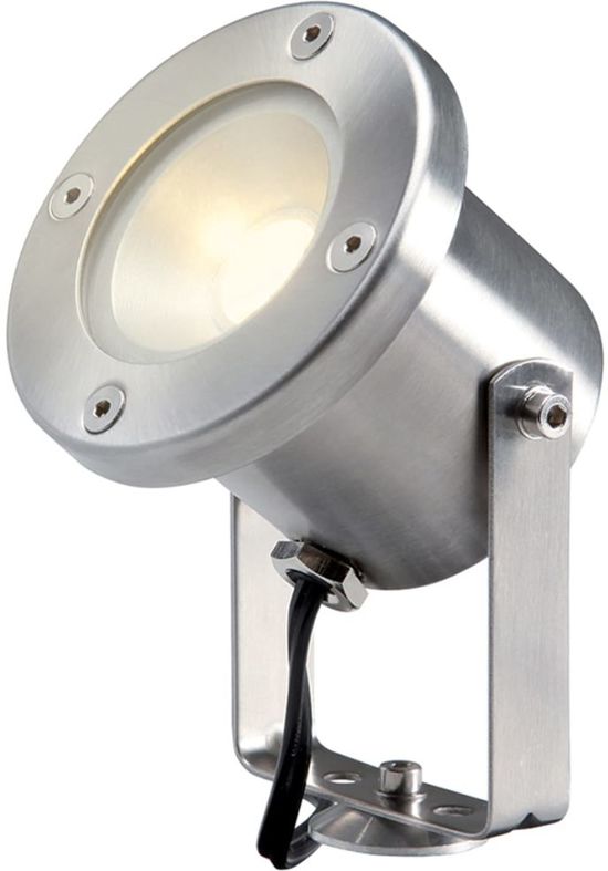 Lamp Catalpa