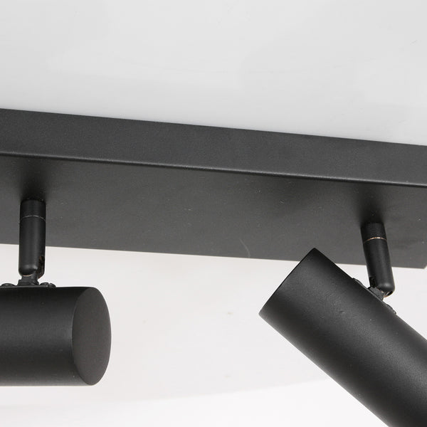 Zwart gouden 2 lichts plafond spot bundle 3336zw