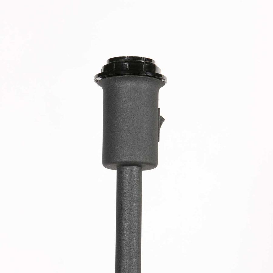 1564zw BASE *M*