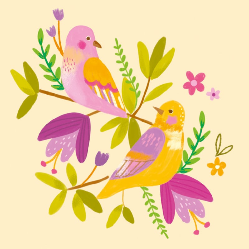 BIRDS