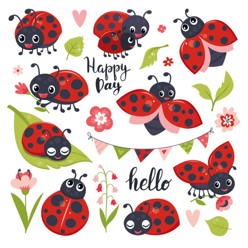 LADYBIRDS