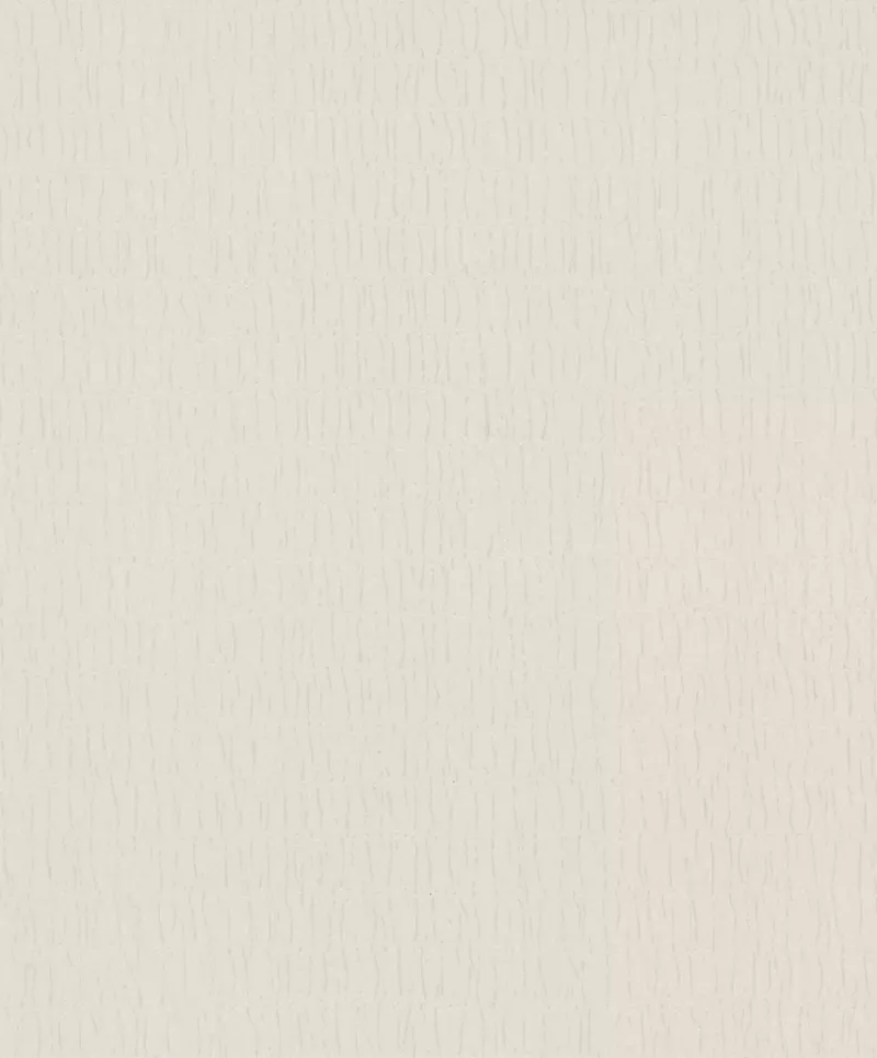 Vlies Behang TopChic 2023-2025 Kumano Textures Neutral Walls 2/2
