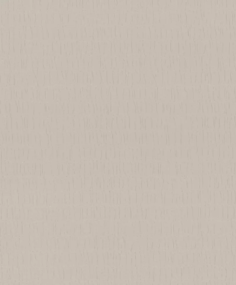 Vlies Behang TopChic 2023-2025 Kumano Textures Neutral Walls 2/2