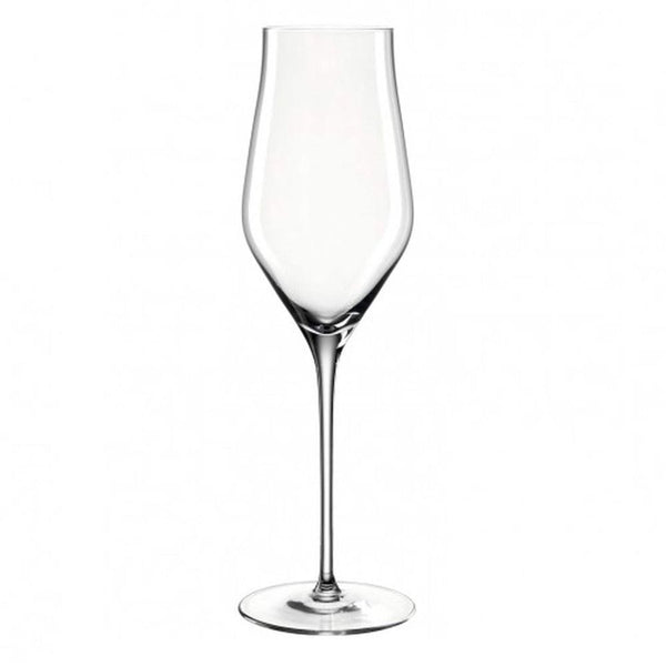 Champagnerglas 340ml Brunelli