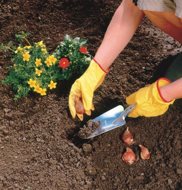 Schepje  verzinkt lu-z 8cm