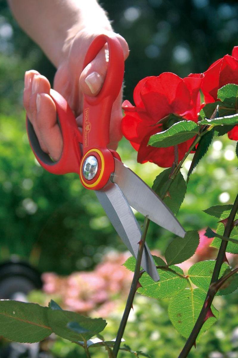 Tuinschaar ra-x