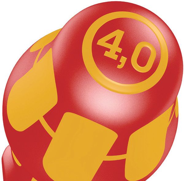 Schroevedr. 160i  80x2,5 06100