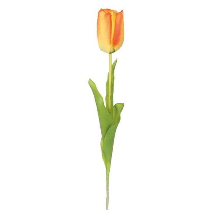Tulp oranje - l64cm 216473 orange01