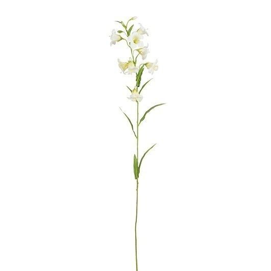 Campanula wit - l73cm 126474 white01