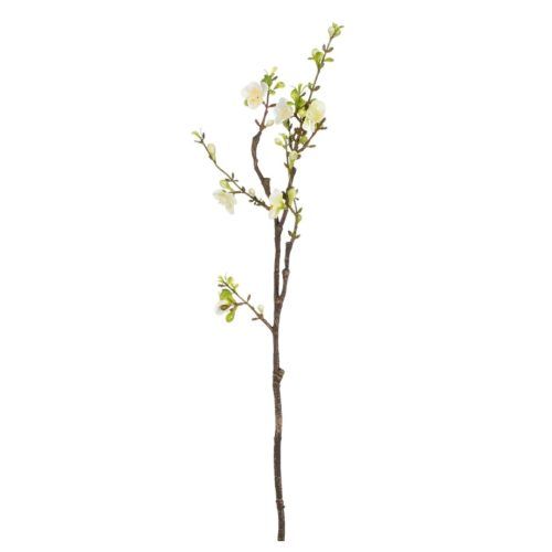 Kersenbloesem tak creme - l61,5cm 217546 cream01