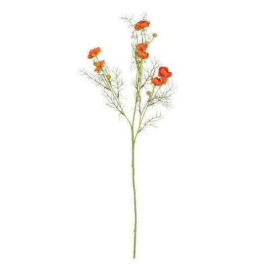 Ranunculus oranje - l74cm 127599 orange02