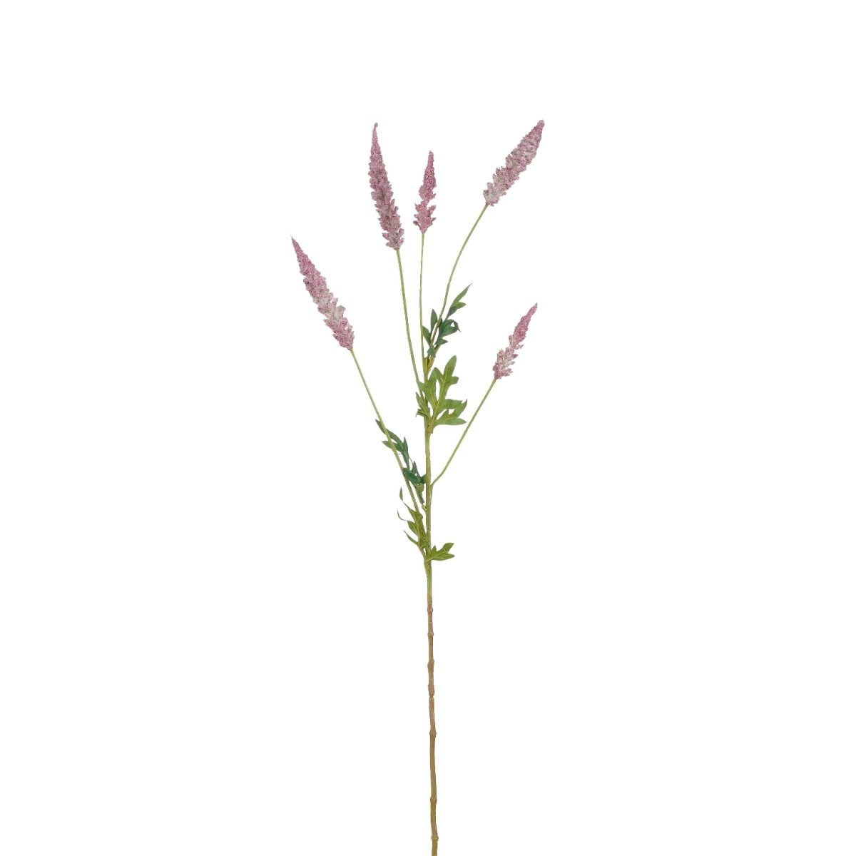 Astilbe d.roze - l81cm 147754 beauty01