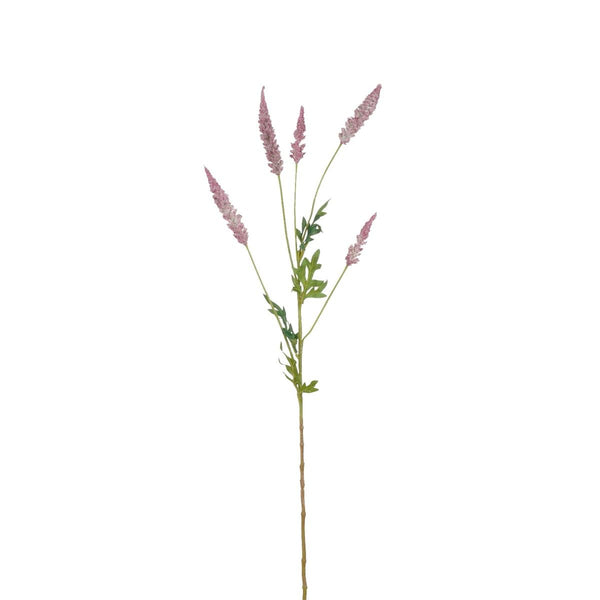 Astilbe d.roze - l81cm 147754 beauty01