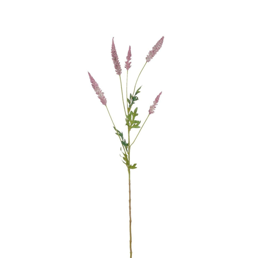Astilbe d.roze - l81cm 147754 beauty01