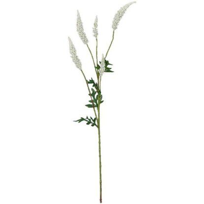 Astilbe creme - l81cm 147754 cream01