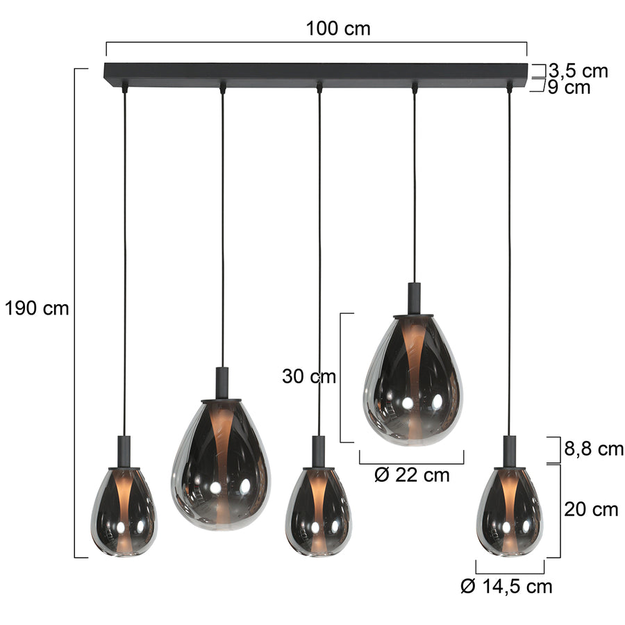5-lichts Hanglamp 4197ZW – Zwart met Smoke Glas
