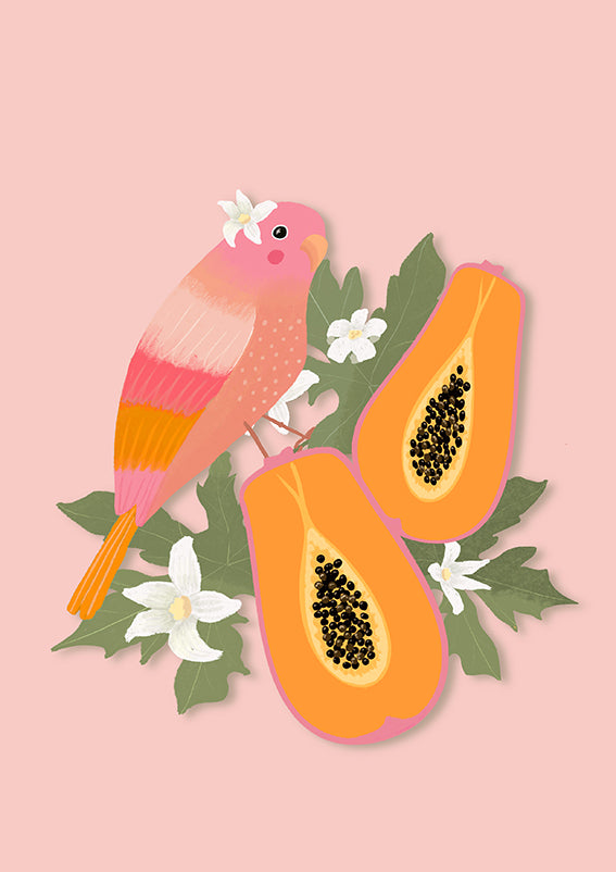 PAPAYABIRD