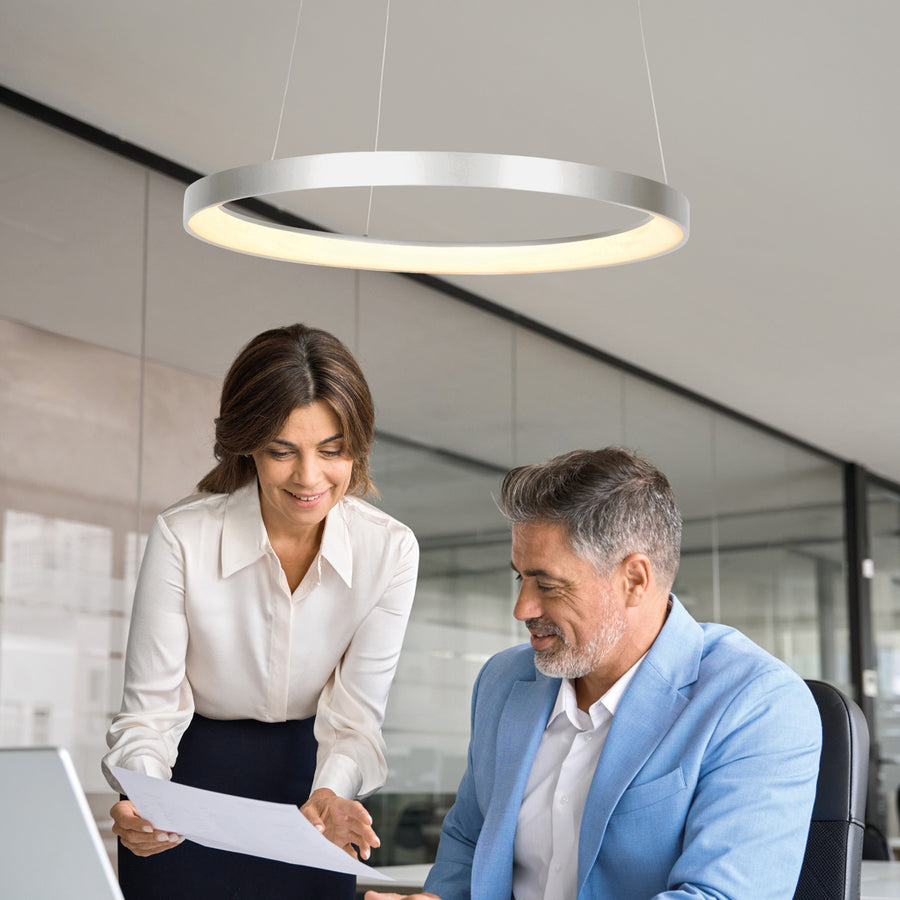 Stalen hanglamp ringlede 4612st met cable-lift systeem