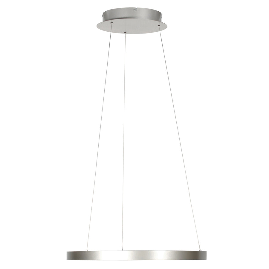 Stalen hanglamp ringlede 4612st met cable-lift systeem
