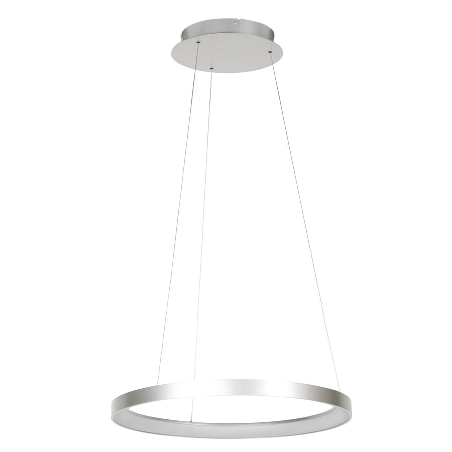 Stalen hanglamp ringlede 4612st met cable-lift systeem